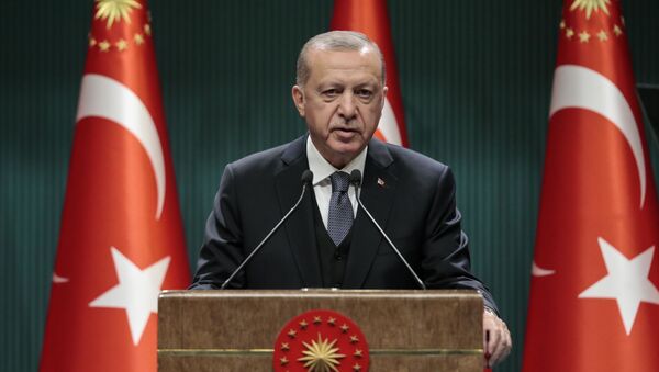  Recep Tayyip Erdoğan - Sputnik Türkiye