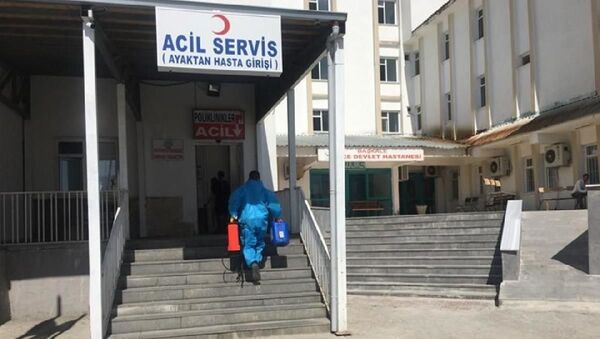 Başkale Devlet Hastanesi'nde 10 çalışanın koronavirüs testi pozitif - Sputnik Türkiye