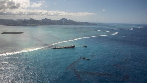 MV Wakashio adlı petrol tankeri, 25 Temmuz'da Mauritius adasındaki bir mercan resifinde karaya oturdu. Binlerce ton petrol denize sızdı. - Sputnik Türkiye