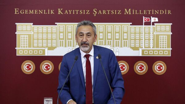 Mustafa Adıgüzel - Sputnik Türkiye