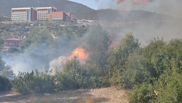 Muğla’nın Milas ilçesinde ormanlık arazide bugün aynı noktada 6 kez yangın çıktı. - Sputnik Türkiye