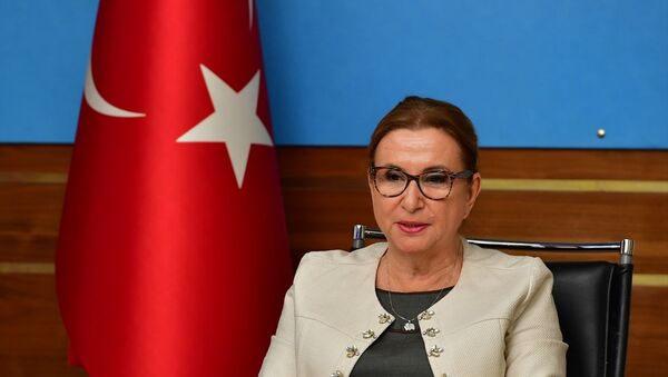 Ticaret Bakanı Ruhsar Pekcan - Sputnik Türkiye