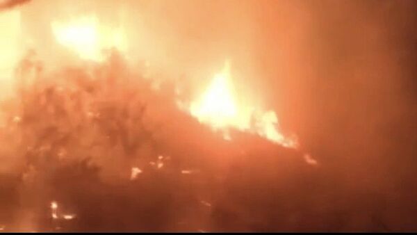 Hatay'ın Samandağ ilçesinde zeytinlik alanda çıkan yangın, ekiplerince 5 saatlik müdahalesinin ardından kontrol altına alındı. - Sputnik Türkiye