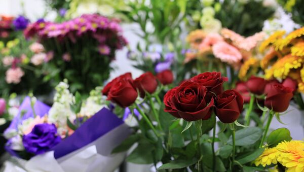 kırmızı gül, çiçekçi, çiçek, çiçek buketi,  - Sputnik Türkiye