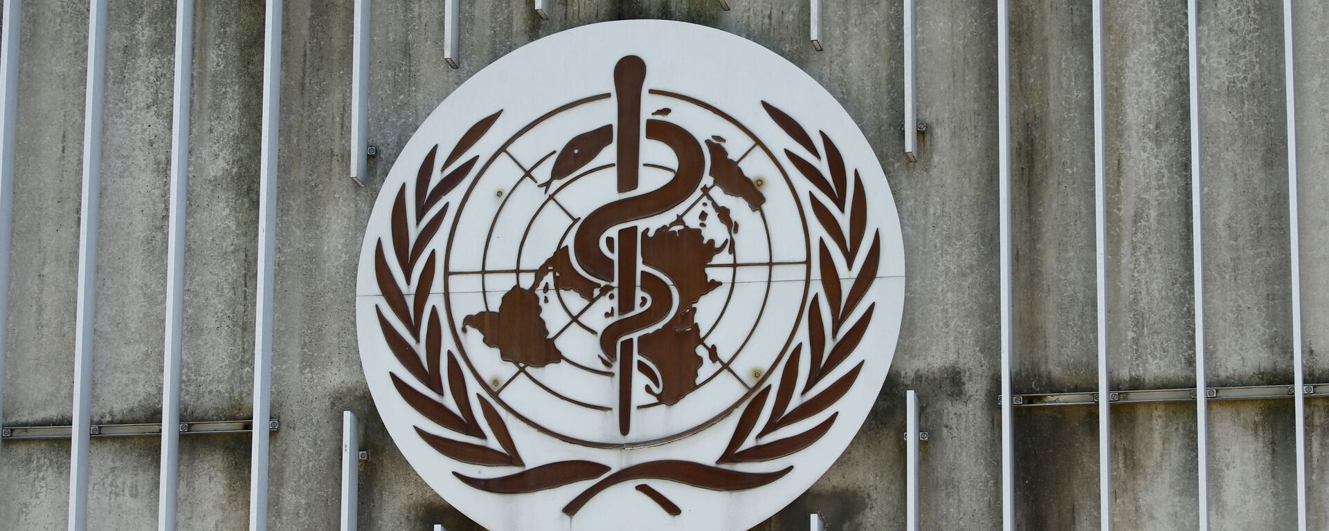 Dünya Sağlık Örgütü (DSÖ) - Sputnik Türkiye, 1920, 26.01.2022