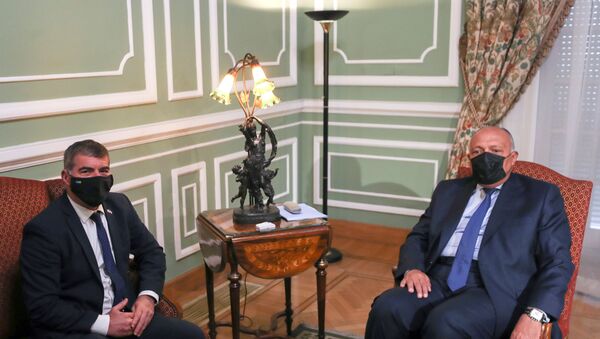  Mısırlı mevkidaşı Semih Şukri ile bir araya gelen İsrail Dışişleri Bakanı Gabi Aşkenazi - Sputnik Türkiye