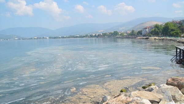 Marmara Denizi'nin güneyinde Balıkesir sınırları içinde kalan sahil boyunda etkili olan deniz salyasının yüzeydeki yoğunluğu azalıyor. - Sputnik Türkiye