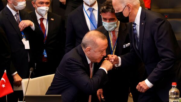 Recep Tayyip Erdoğan - Joe Biden - Sputnik Türkiye