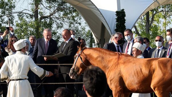 Cumhurbaşkanı Recep Tayyip Erdoğan ile Azerbaycan Cumhurbaşkanı İlham Aliyev - Sputnik Türkiye
