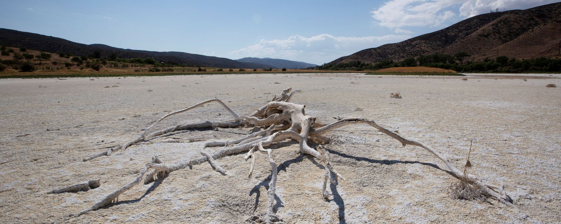 ABD'nin batı yakasında aşırı sıcak-kuraklık döngüsünde kuruyan Elizabeth Gölü (Los Angeles, Kaliforniya) - Sputnik Türkiye, 1920, 09.07.2021