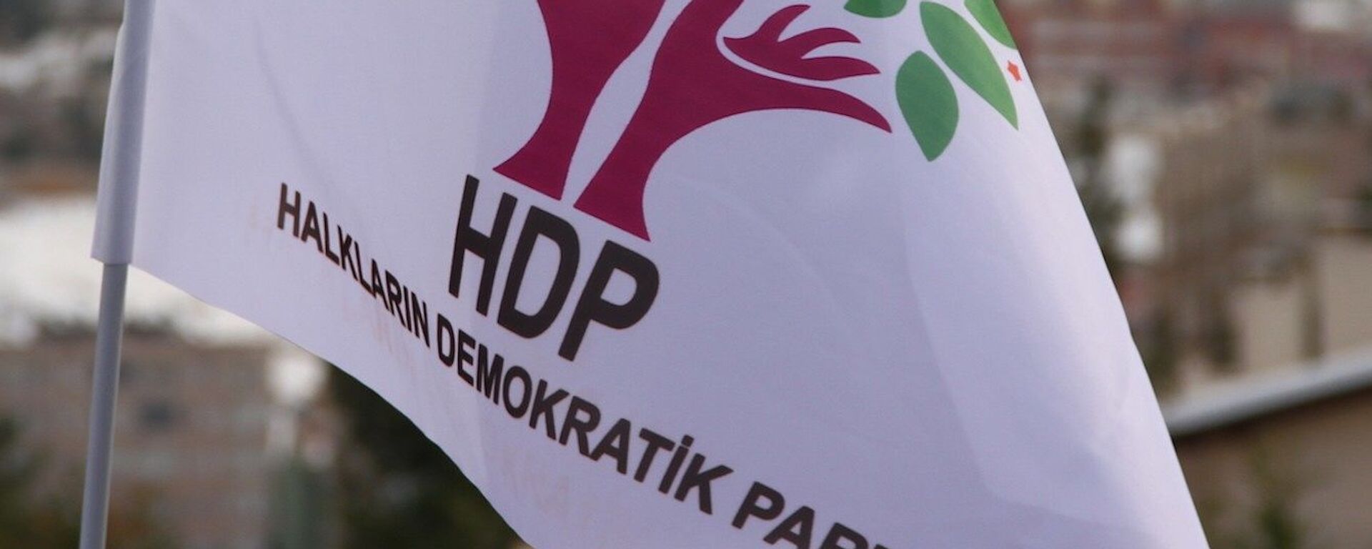 HDP - bayrak - logo - Sputnik Türkiye, 1920, 14.07.2021