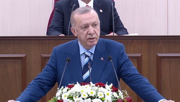 Cumhurbaşkanı Erdoğan Kuzey Kıbrıs meclis - Sputnik Türkiye