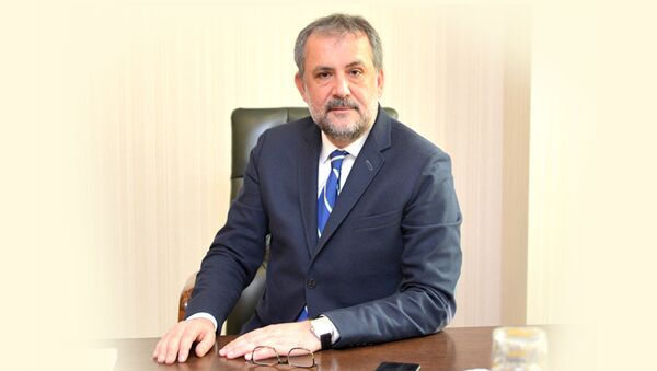 Çevre ve Şehircilik Bakan Yardımcısı Prof. Dr. Mehmet Emin Birpınar - Sputnik Türkiye