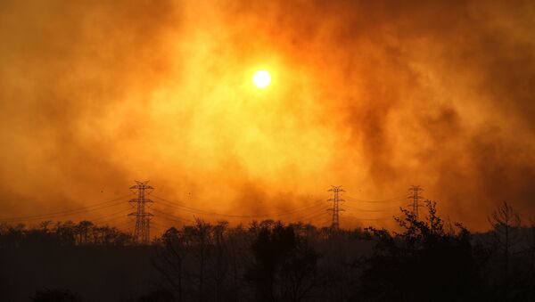 Manavgat yakınlarındaki orman yangınından yükselen dumanlar. - Sputnik Türkiye