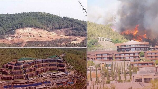 Çıkan yangında yanan ağaçların yerine dikilen otel, yangın nedeniyle tahliye edildi - Sputnik Türkiye