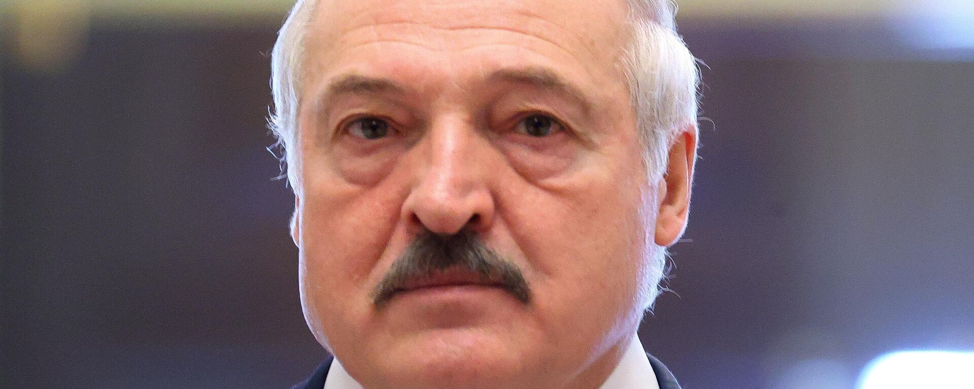Belarus Devlet Başkanı Aleksandr Lukaşenko - Sputnik Türkiye, 1920, 07.12.2021