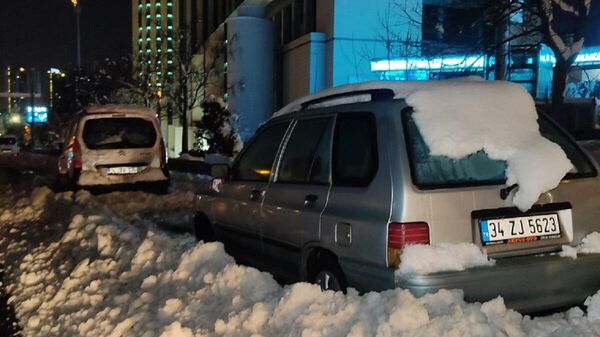 İstanbul’da etkili olan yoğun kar yağışı ve tipi nedeniyle önceki gece trafik durdu. Sürücüleri tarafından TEM Otoyolu kenarlarına bırakılan araçlar alınmayı bekliyor. - Sputnik Türkiye