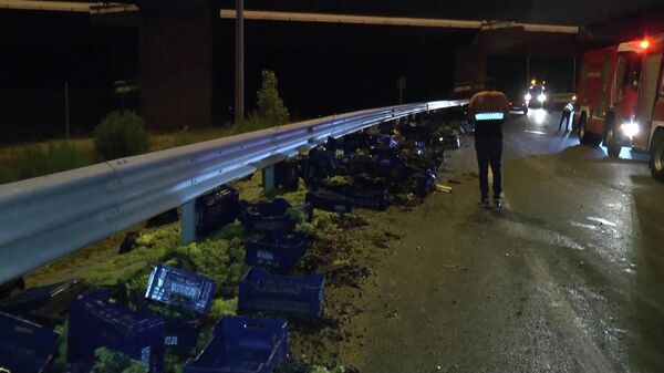 Kuzey Marmara Otoyolu'nda üzüm yüklü kamyon devrildi: 1’i ağır 2 yaralı
 - Sputnik Türkiye