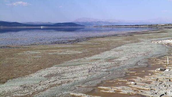 Burdur Gölü'nde alg patlaması: 'Göl yaralı, yardıma ihtiyacı var' - Sputnik Türkiye