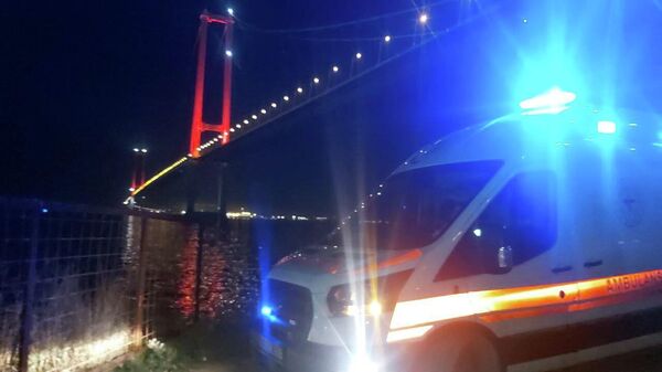 Aracını durdurup Osmangazi Köprüsü’nden atladı - Sputnik Türkiye