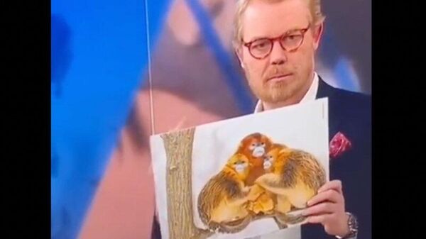 Danimarka'nın ulusal televizyon kanalı TV 2 Nyheder sunucusu Soren Lippert, Fas milli takımı oyuncularının annelerine sarılarak sevinmesiyle maymun ailesinin sarılarak ısınması arasında bağlantı kurarken  - Sputnik Türkiye