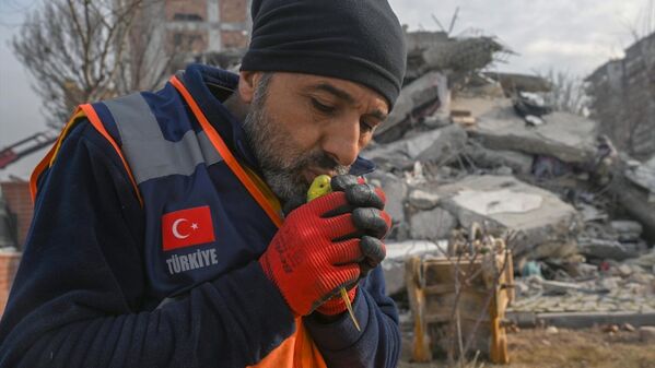 Enkazdan 5 gün sonra çıkarılan muhabbet kuşuna 'Mucize' adı verildi - Sputnik Türkiye