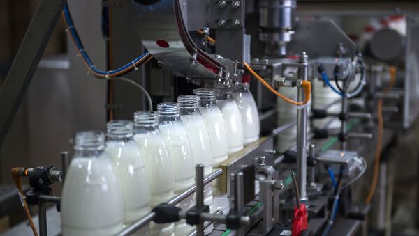 Süt ve süt ürünleri fabrikası - Sputnik Türkiye