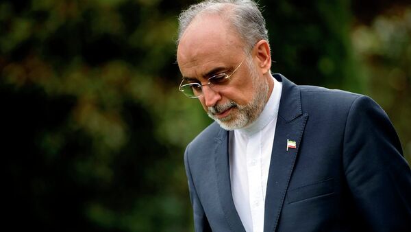 İran Atom Enerjisi Kurumu Başkanı Ali Ekber Salihi - Sputnik Türkiye