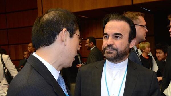 İran'ın Uluslararası Atom Enerjisi Ajansı'ndaki (UAEA) Büyükelçisi Rıza Necefi - Sputnik Türkiye