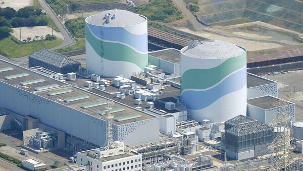 Japonya - Sendai nükleer güç santrali - Sputnik Türkiye