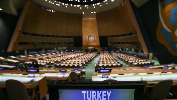 BM Genel Kurulu - Sputnik Türkiye