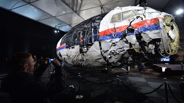 Hollanda, Malezya Hava Yolları'na ait MH17 sefer sayılı yolcu uçağı ile ilgili raporunu açıkladı - Sputnik Türkiye