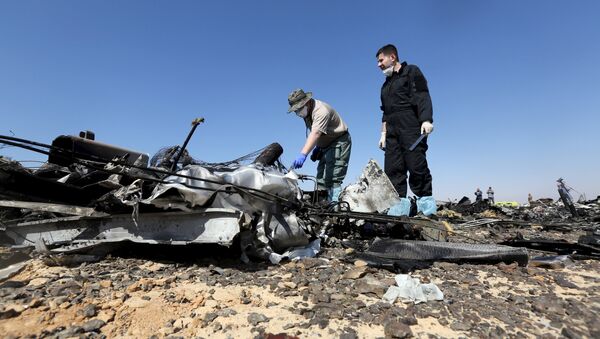 Military investigators from Russia check debris from a Russian airliner at its crash site at the Hassana area in Arish city, north Egypt, November 1, 2015 - Sputnik Türkiye