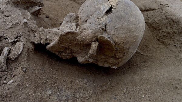 İnsanlık tarihindeki savaşlara dair en eski kanıt Kenya'da bulundu. - Sputnik Türkiye