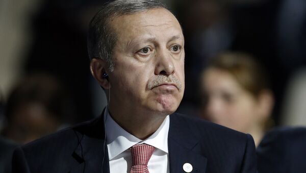 Türkiye Cumhurbaşkanı Recep Tayyip Erdoğan, Paris'teki COP21 konferansında. (30 Kasım 2015) - Sputnik Türkiye