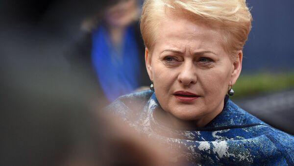 Litvanya Cumhurbaşkanı Dalia Grybauskaite - Sputnik Türkiye