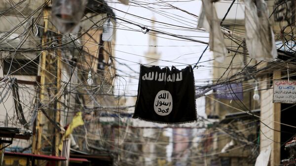 Elektrik tellerinden sarkan bir IŞİD bayrağı. - Sputnik Türkiye