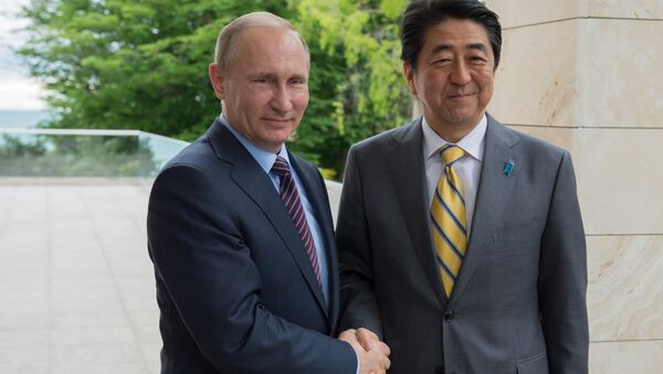 Rusya Devlet Başkanı Vladimir Putin ve Japonya Başbakanı Şinzo Abe - Sputnik Türkiye
