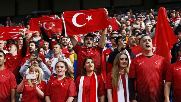 Türkiye A Milli Futbol Takımı'nı destekleyen taraftarlar. - Sputnik Türkiye
