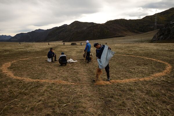 Kok-boru milli oyunun katılımcıları oyun için alanı hazırlıyor ve geken çizgileri çiziyorlar. - Sputnik Türkiye