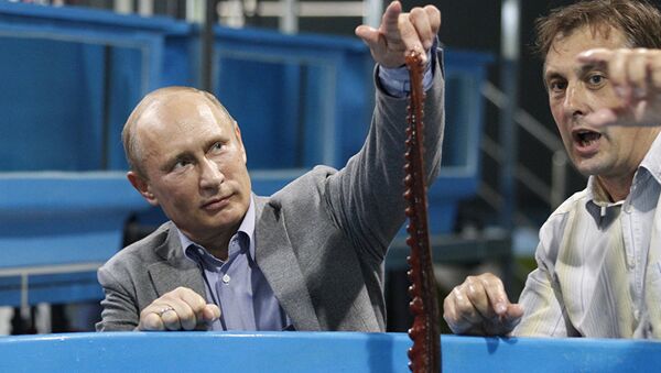 Batı basınında Putin ve ahtapot masalı - Sputnik Türkiye