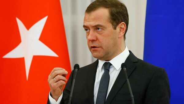 Rusya Başbakanı Dmitriy Medvedev - Sputnik Türkiye