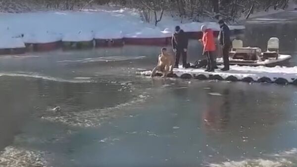 Rusya’ya bağlı Kırım Cumhuriyeti’nin başkenti Simferepol’de bir kişi, yüzeyi buz tutmuş göle girerek, soğuk suda çırpınan köpeği ölmekten kurtardı. - Sputnik Türkiye
