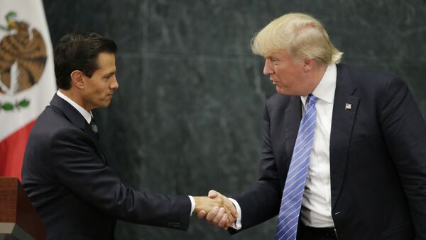 ABD'nin yeni başkanı Donald Trump ve Meksika Devlet Başkanı Enrique Pena Nieto - Sputnik Türkiye