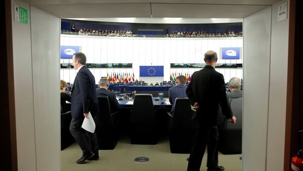 Avrupa Parlamentosu / AP - Sputnik Türkiye