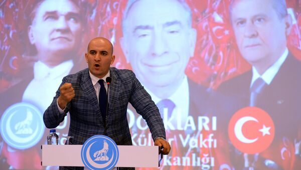 Ülkü Ocakları Genel Başkanı Olcay Kılavuz - Sputnik Türkiye