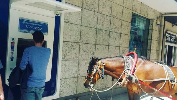 Yaşam ATM’den para çekmeye atıyla gitti - Sputnik Türkiye