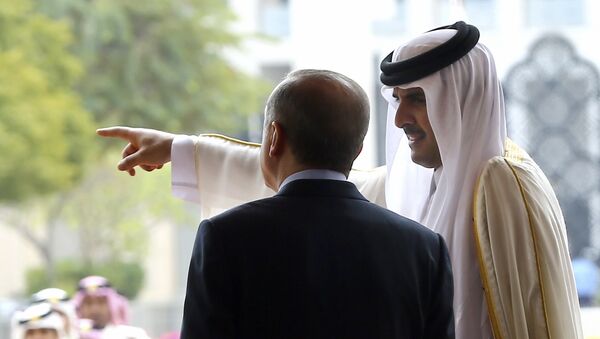 Emir of Qatar Sheikh Tamim bin Hamad Al-Thani, right, points as Turkey's President Recep Tayyip Erdogan looks on during a welcome ceremony in Doha, Qatar, Wednesday, Feb. 15, 2017 - Sputnik Türkiye