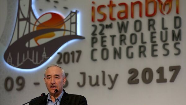İran Petrol Bakan Yardımcısı Emir Hüseyin Zemani - Sputnik Türkiye
