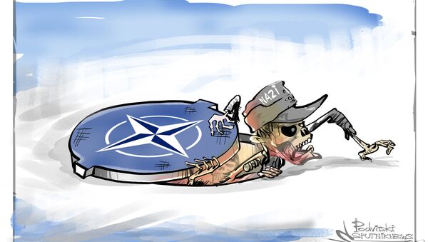 NATO - Sputnik Türkiye